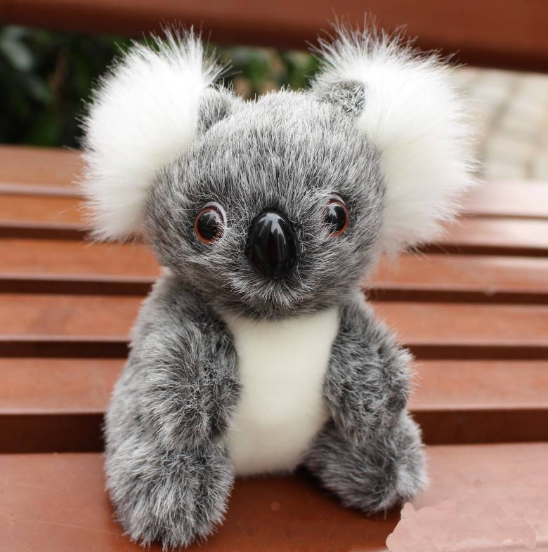 Cute Small Koala Bear Plush Toys Cute Small Koala Bear Plush Toys