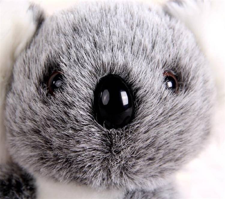 Cute Small Koala Bear Plush Toys Cute Small Koala Bear Plush Toys